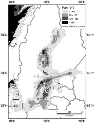 Large-Scale Nutrient Dynamics in the Baltic Sea, 1970–2016